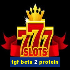 tgf beta 2 protein